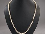 a white pearl necklace on a black mannequin