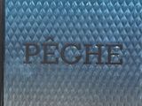 the cover of the book peche by bernard bletton