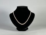 gros plan d'un collier sur un mannequin sur fond blanc