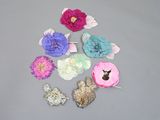 de nombreuses fleurs de différentes couleurs disposées sur une surface grise