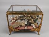 une boîte en verre posée sur une table, contenant des coquillages