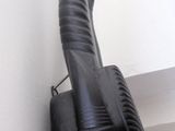 a large horn head mounted on the wall next to a mirror