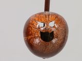 a wooden object with a face on it on a stick