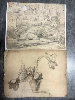 deux dessins représentant des fleurs dans un vase posé sur une table