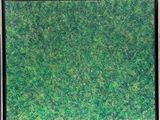 a picture of a picture of a green field of grass