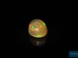 an oplite in the dark with a black background