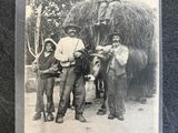 black and white photo of a group of men standing next to a horse