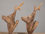 pair of antelope heads on acrylic bases
