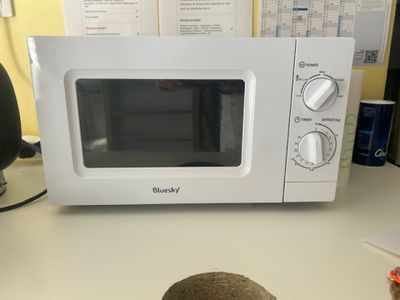 a rock sitting on a counter next to a microwave