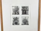 a black and white drawing of four different trees in a wooden frame