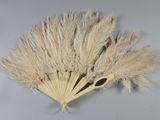 un éventail orné de quelques plumes