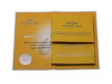 an image of a yellow brochure with a silver medal on it
