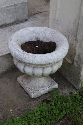 a small potted plant sitting on the steps of a house