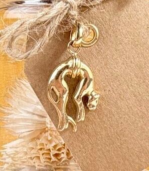 a close up of a necklace with a horse on it