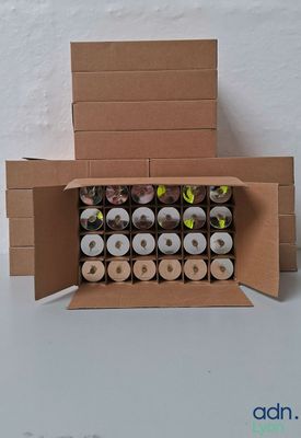 a cardboard box with rolls of toilet paper in it