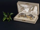 two silver spoons in a wooden box with a plant in the background