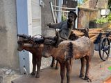 a statue of a man riding on a horse drawn cart