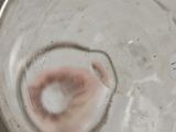 someone is holding a glass with a liquid inside of it