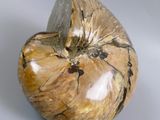 a large piece of wood that is shaped like an apple