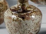 trois vases posés l'un à côté de l'autre sur une table