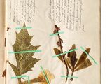 un livre ouvert sur lequel figure l'image d'une feuille
