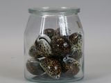 a glass jar with shells in it on a white surface