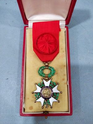 an image of a red box with a gold medal and a red ribbon