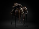 a brown horse with a saddle on it ' s back in a dark room