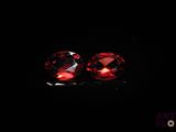 une paire de grenats rouges sur fond noir