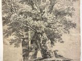 un dessin représentant un arbre dans une zone boisée, avec une maison en arrière-plan