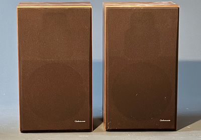 deux haut-parleurs assis l'un à côté de l'autre sur une table