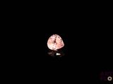 un diamant rose sur fond noir
