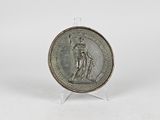 a silver medal with a statue on it on a clear stand