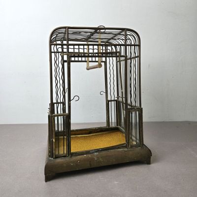 un oiseau en cage posé par terre