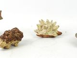 four figurines of animals that are on a white surface