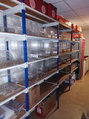 une pièce avec de nombreuses étagères et des cartons posés sur ces étagères
