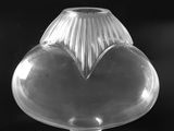 photographie en noir et blanc d'un vase en verre transparent sur fond noir