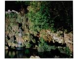 une petite cascade au milieu d'une forêt