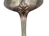 a silver spoon with a flower on it on a white background