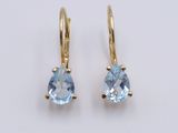 a pair of blue topaze earrings on a white background