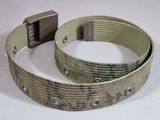 a belt that has a metal buckle on it