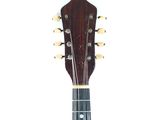 a close up of a guitar on a white background