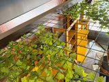 a plant growing in a pot on a metal shelf