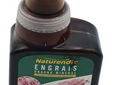 une image représentant une bouteille d'Encriras sur fond blanc