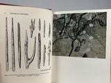 someone is holding a book open to a page with drawings on it
