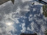 a reflection of a cat on the hood of a car
