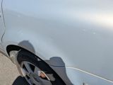 a cat sitting on the side of a car