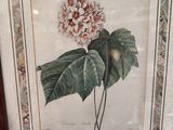une image représentant une photo d'une fleur dans un cadre posé sur une table