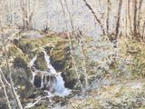 a watercolor painting of a waterfall in the woods