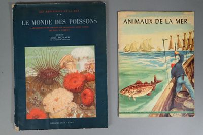 deux livres posés sur une table